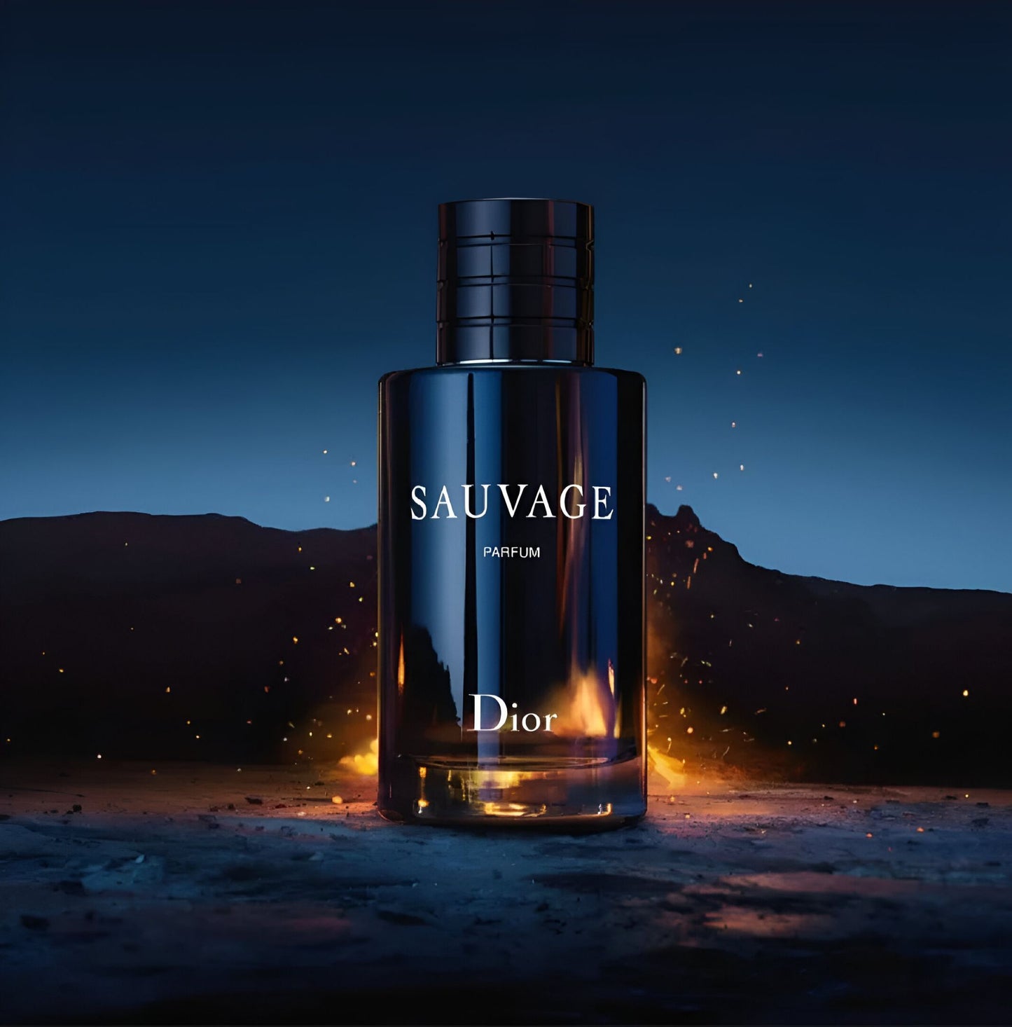 Original Dior - SAUVAGE IMPRESSION Perfume and long lasting perfume 100 ml bottle